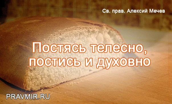 sLSeN41yKIU.webp