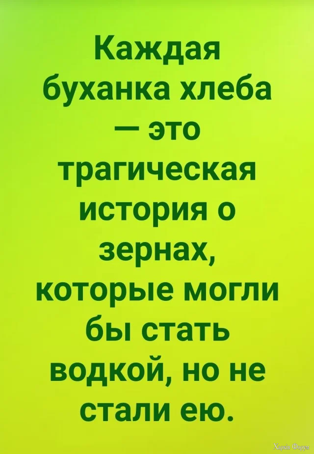 smeshnye-kartinki-4.webp
