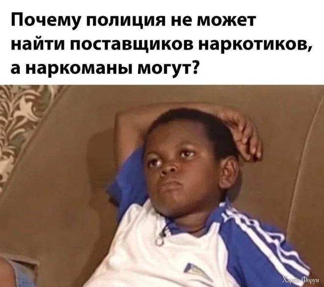 smeshnye-kartinki1.webp