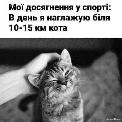 SMGDaiEtBN1iBCQ&_nc_zt=23&_nc_ht=scontent.fiev25-2.webp