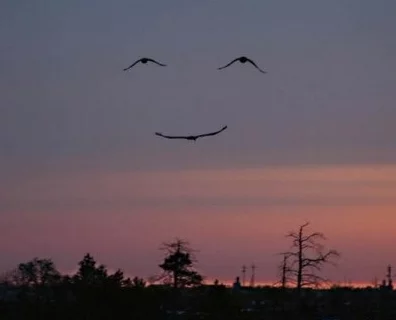 smile.webp