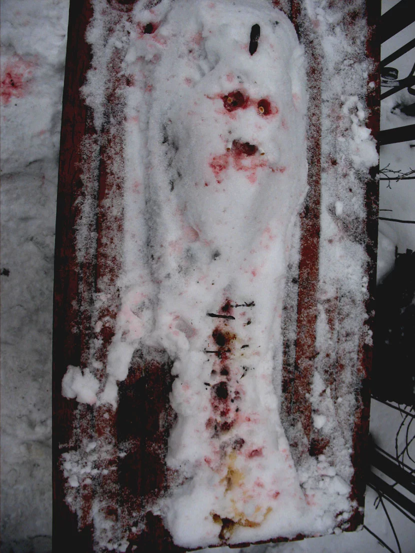 snow.webp