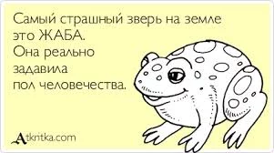 SO4GSMwOb20zmuj2NEDbtX8ps1ovfPAQd5EDNPxog19A5oSdkT.webp