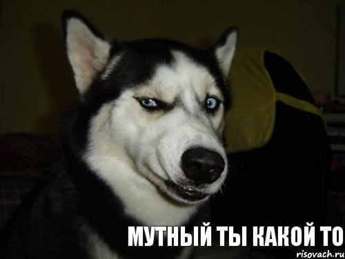 sobaka-podozrevaka_19225087_orig_.jpg