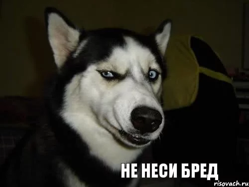 sobaka-podozrevaka_37016377_orig_.webp