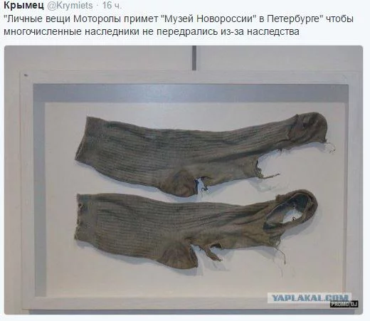 sOdRQSKjF8Q.webp