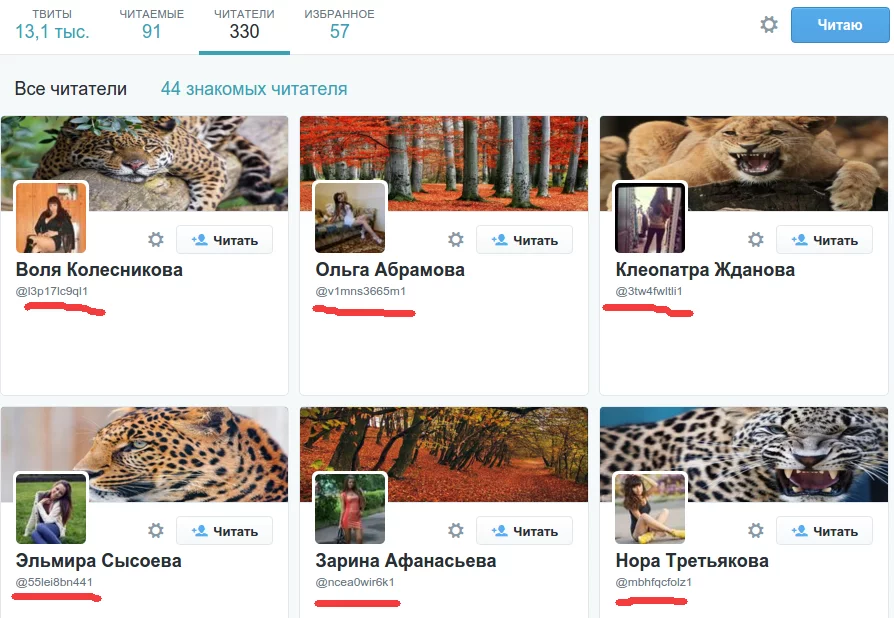 spammers_in_twitter.webp
