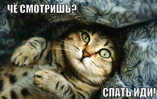 spokoinoi-nochi-sladkih-snov22.webp