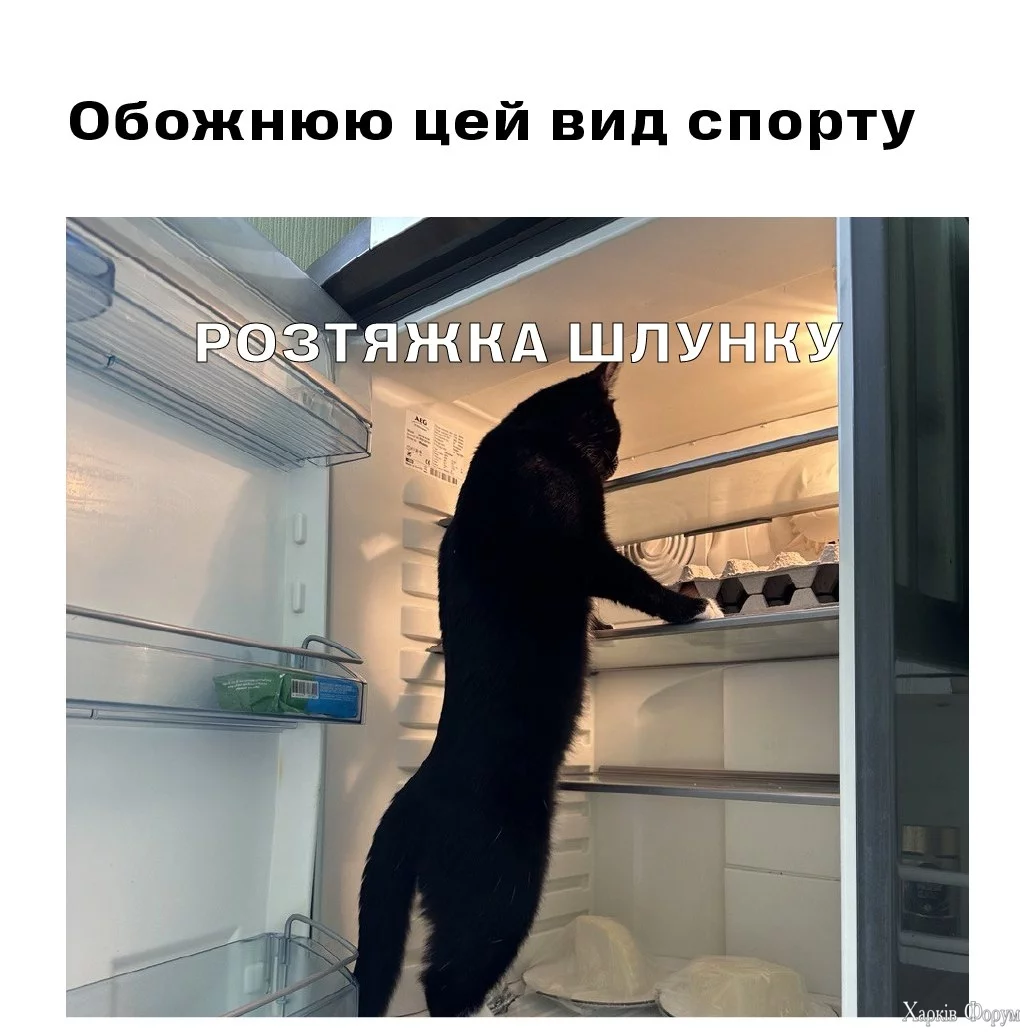  спорта по опустошению холодильника.webp