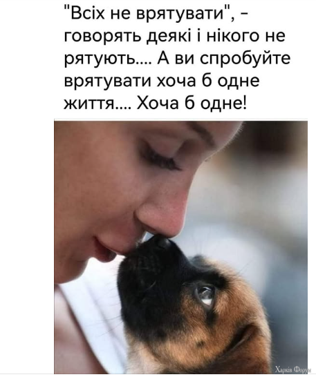 СпPNG.PNG