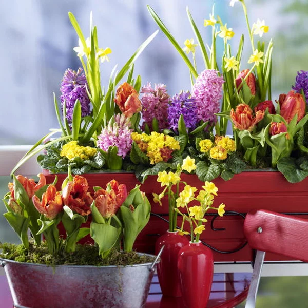 spring-flowers1.webp