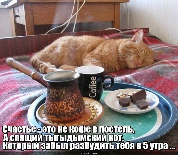 spyascheye-schaste_1499065664.webp