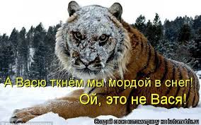 SqdQlXcYdKDWYPRQZWs85gXqwkdGuHJivOIOrGlZCDJTF4YZ4m.jpg