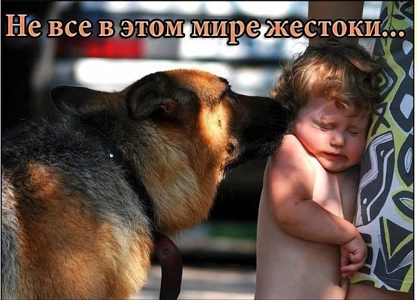 srnILUvOlMo.webp