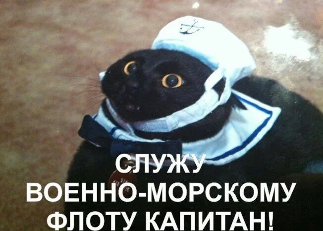 sStm3Ebyha8.webp