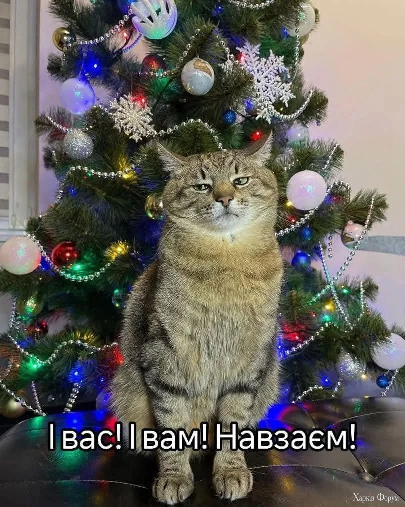  Степан_ і вас.webp