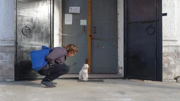 steve-gunn-cat_h-580x326.webp