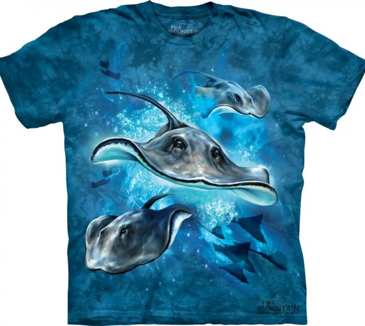 stingrays_0_0.webp