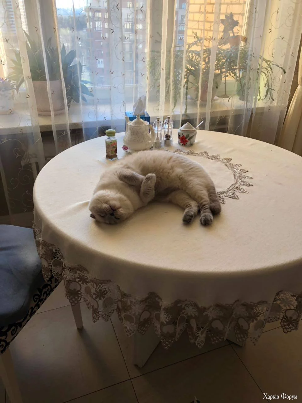  стола.webp