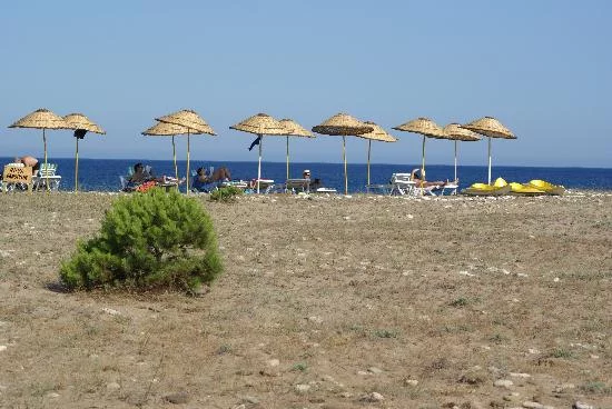 strand.webp