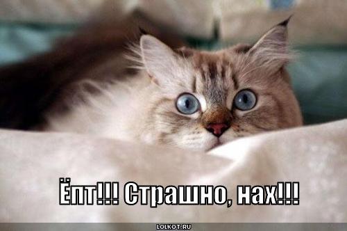 strashno_1259339968.jpg