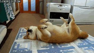 stretch.gif