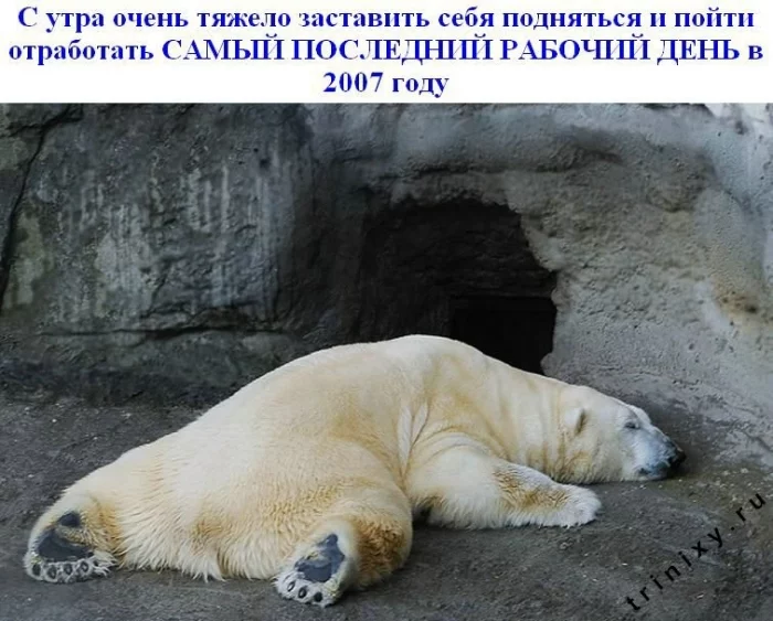 subbota_02.webp