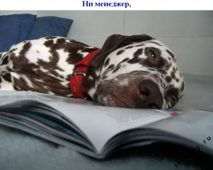 subbota_08.webp