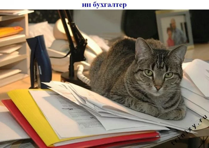 subbota_09.webp