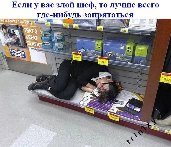 subbota_14.webp
