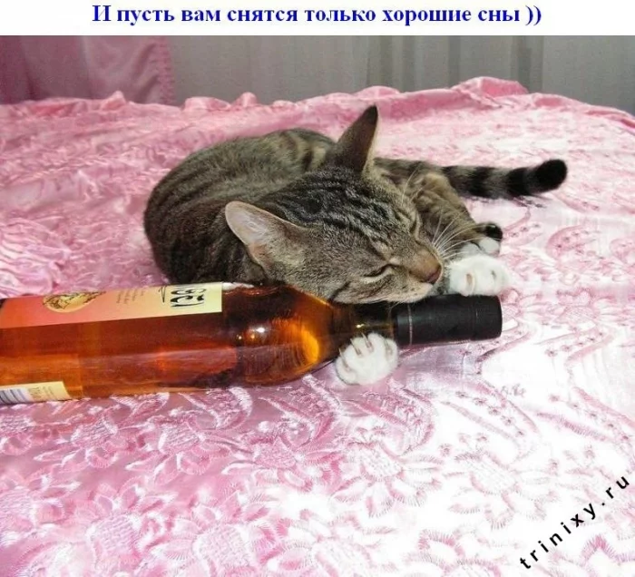 subbota_15.webp