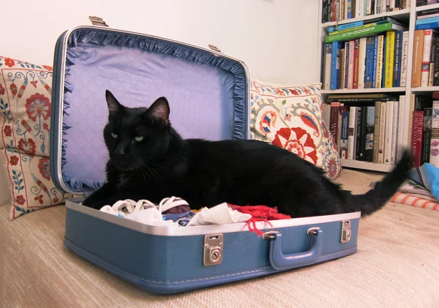 suitcase.webp