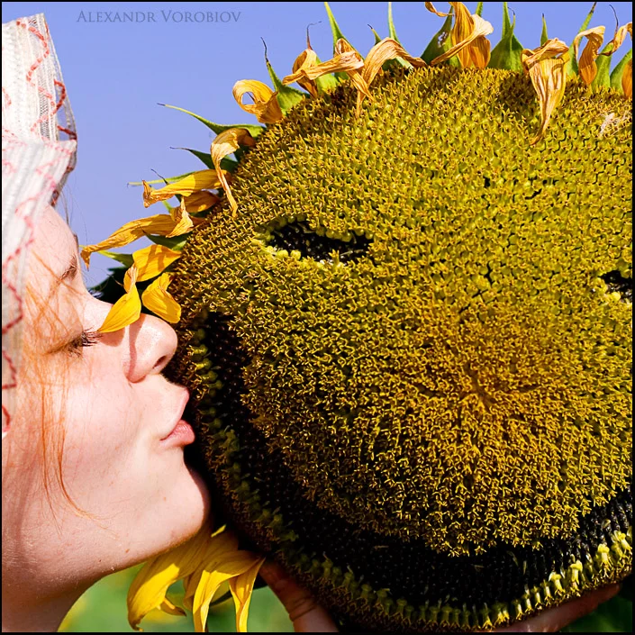 Summer_Kiss_by_vrbv.webp