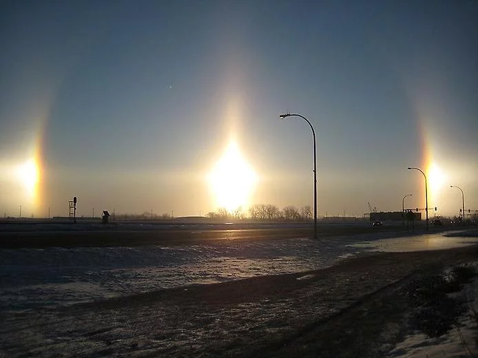 Sundogs.webp