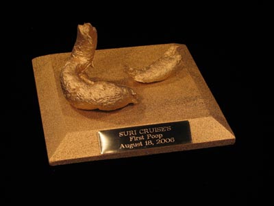 suri_cruise_poo.jpg