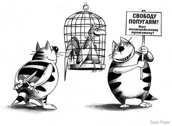 Свободу попугаям.jpg