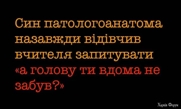 syn-patolog.webp