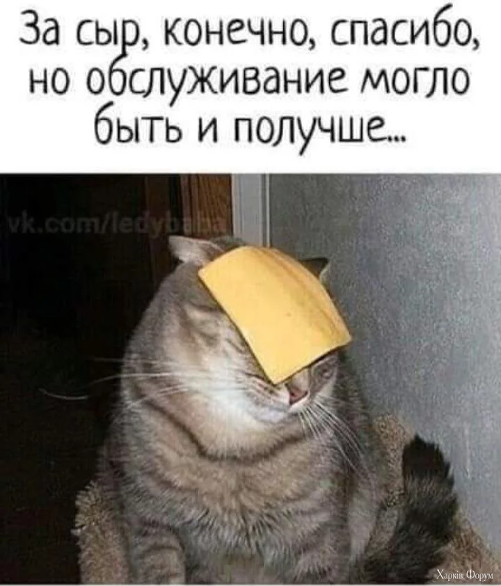 сыр спасибо....webp