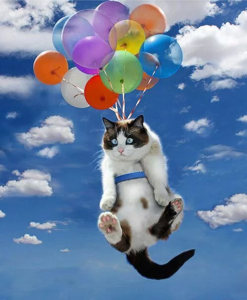 SZGrXmG09kk.webp