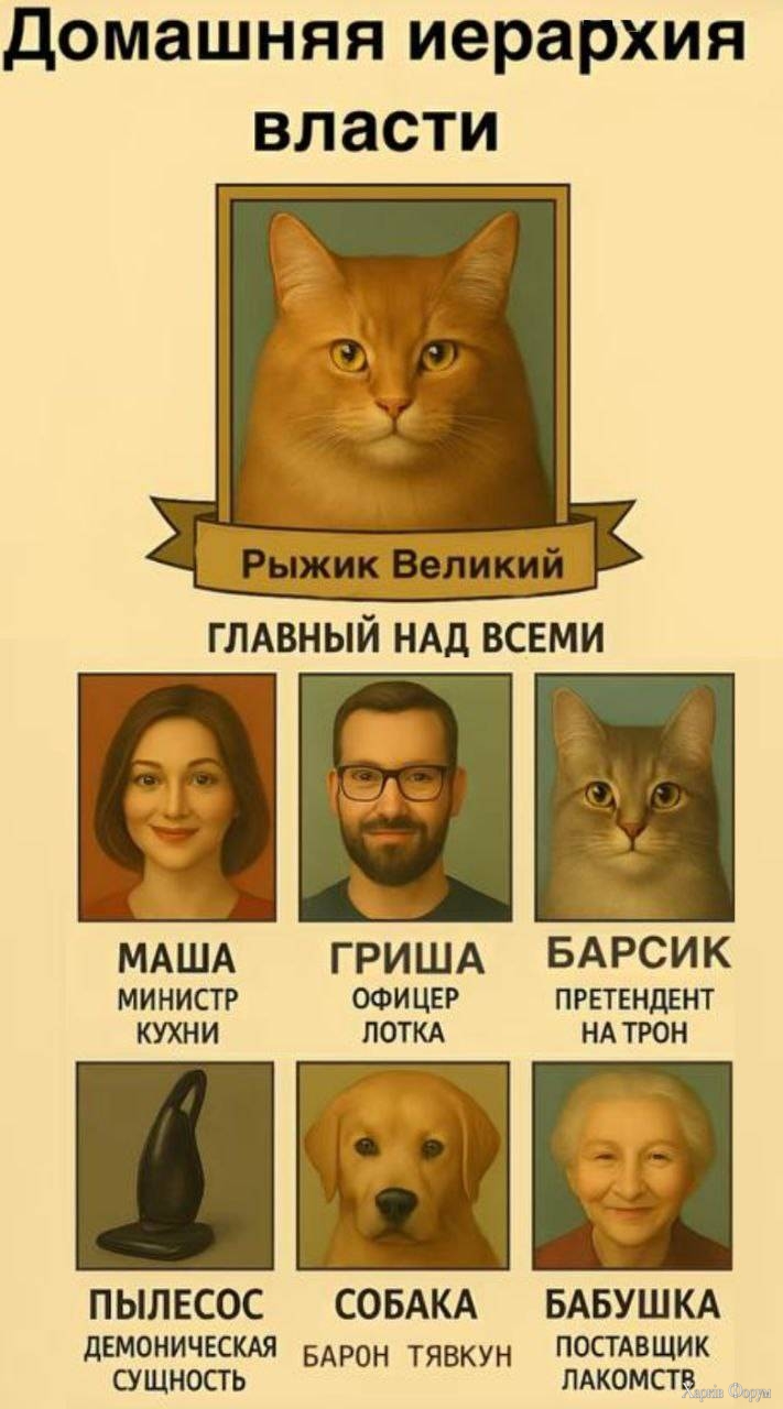 T-aJGjANZNCZqdc&_nc_zt=23&_nc_ht=scontent.fiev28-1.jpg