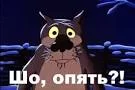 t3kDIsaS7aodiqG3J1i9YRvs7otgEuygttr3MVizldLI70icUZ.webp