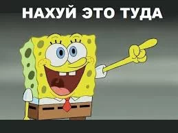 T68fs8RsLyomt8MYMcc1tb4ZpC7xwhcMeib5bsdklFIIYOf8ci.webp