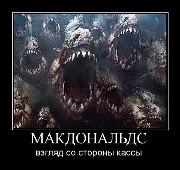 T8B2IdRk8_o.jpg