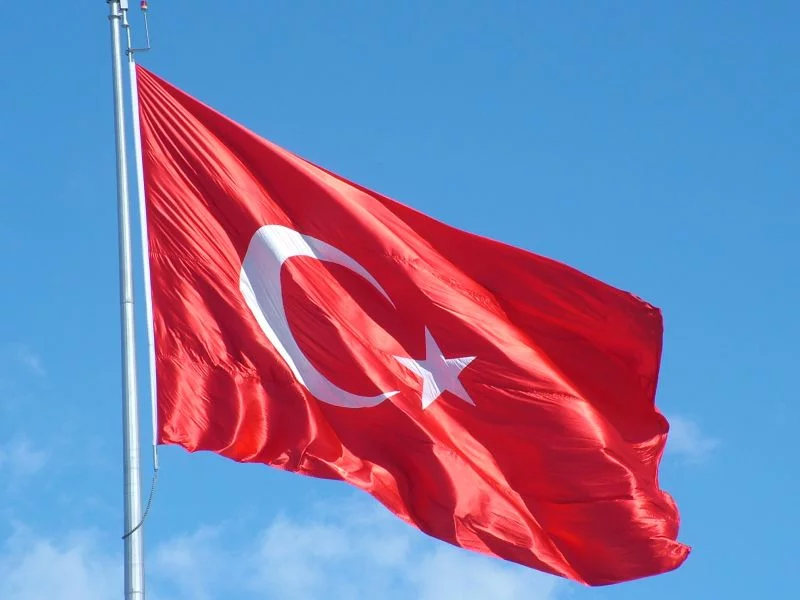 t_rkbayra_181.webp