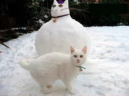 Ta-PWHZrb1jmdgyacRPCdZhg0Ov5cPpkZlmJlvNVonRbqfR1aw.webp