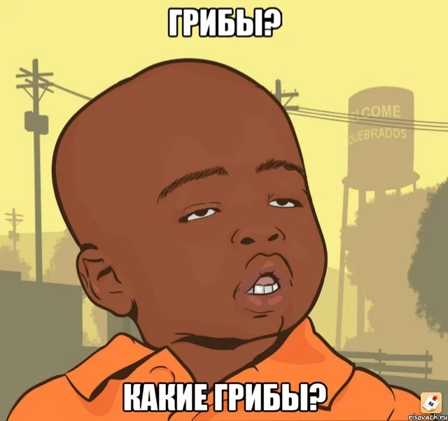 ta4e2u4y.webp