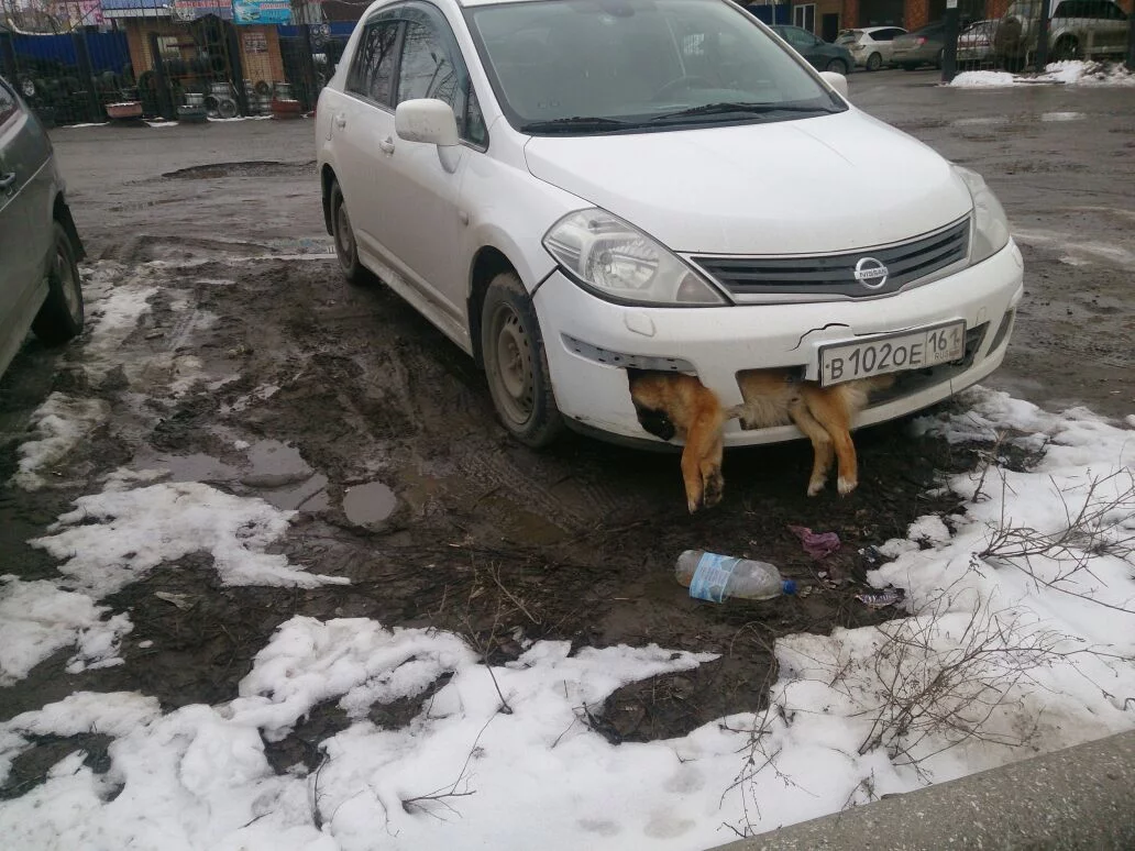 taganrog.jpg