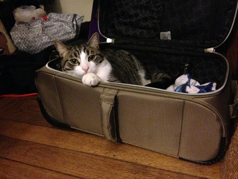 takemewithyou10.webp