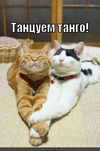 tantsuyem-tango_1301456280.webp