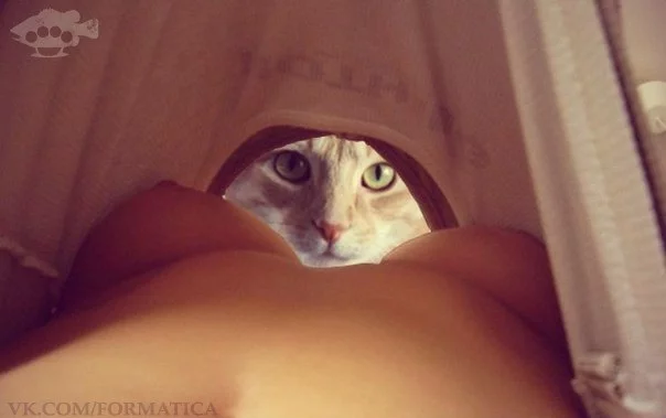 TBlFvzXUJtA.webp